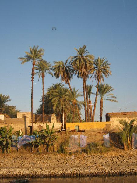 Egypte_0881_Mini 