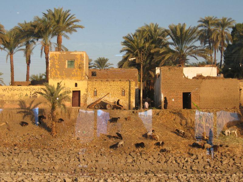 Egypte_0882_Mini 