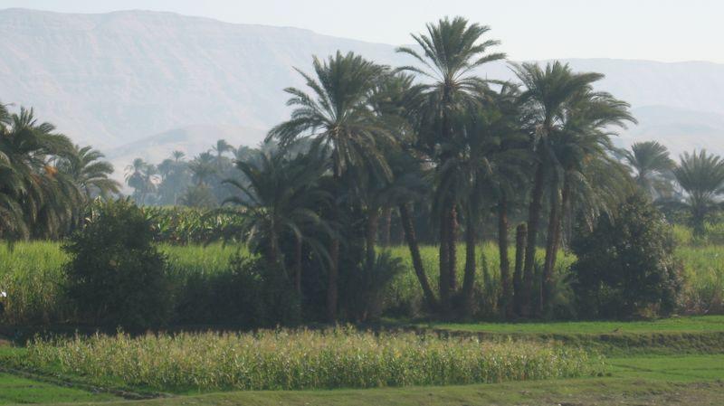 Egypte_0906_Mini 