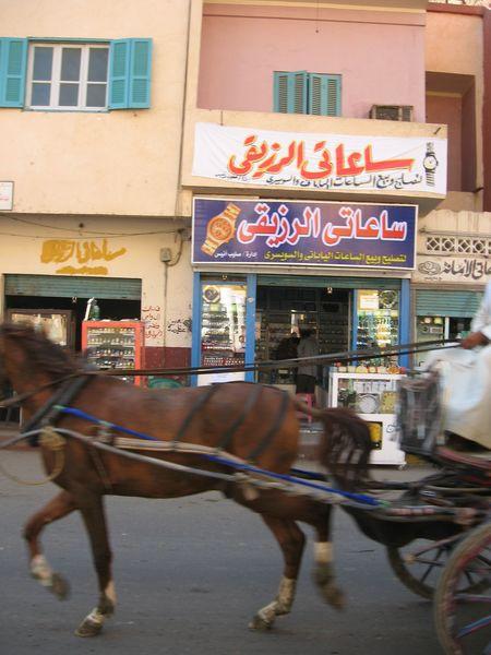 Egypte_0986_Mini 