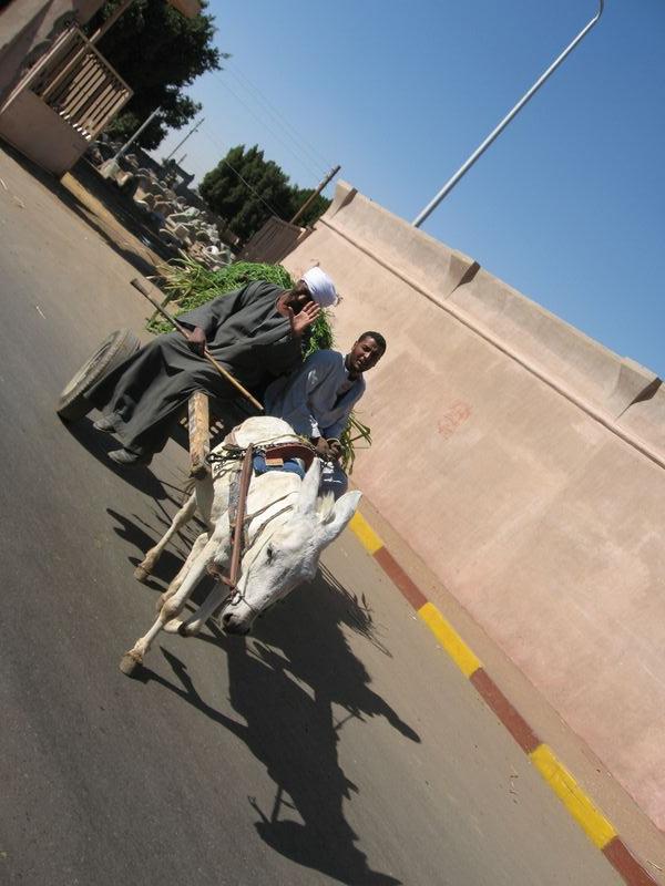 Egypte_1061_Mini 