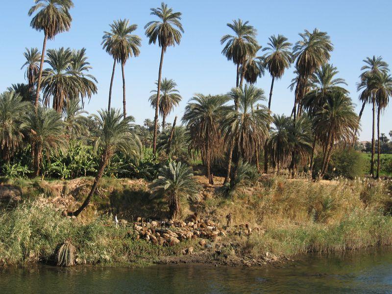 Egypte_1087_Mini 
