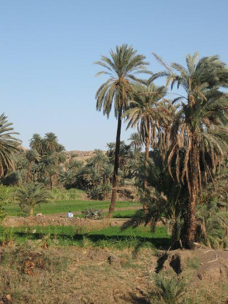Egypte_1092_Mini 