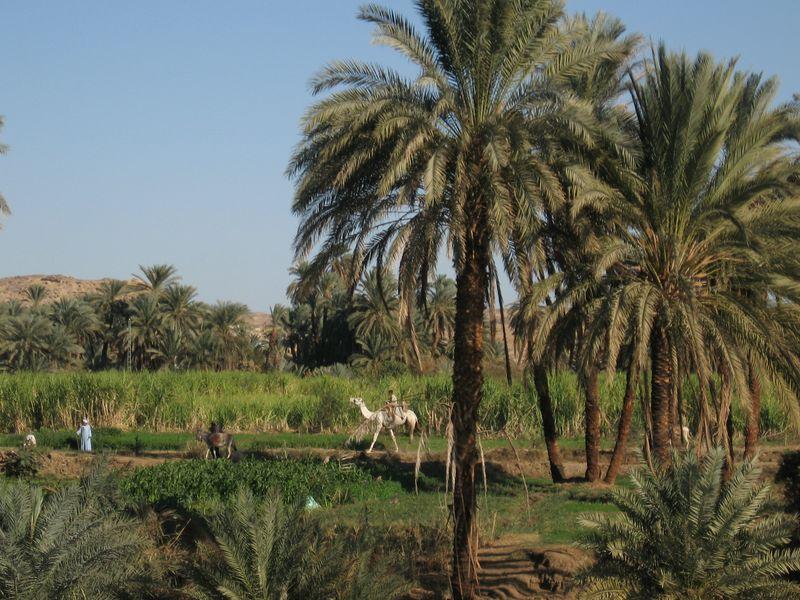 Egypte_1095_Mini 