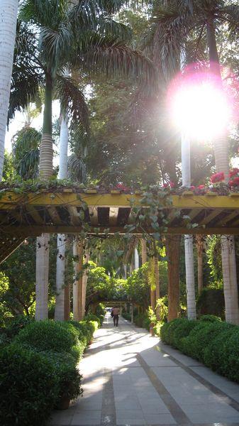 Egypte_1245_Mini 