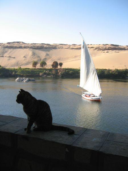 Egypte_1256_Mini 