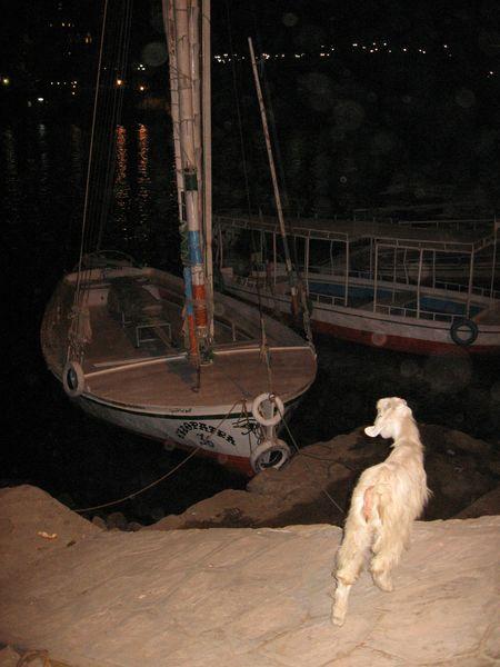 Egypte_1339_Mini 