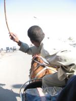 Egypte_0975_Mini