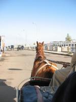 Egypte_0976_Mini 