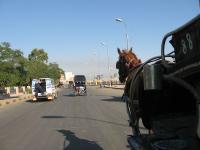 Egypte_0979_Mini 