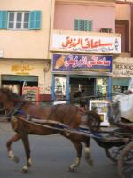 Egypte_0986_Mini 