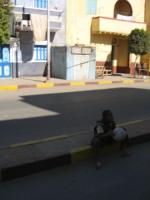 Egypte_1064_Mini