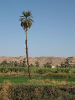 Egypte_1086_Mini