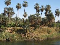 Egypte_1087_Mini