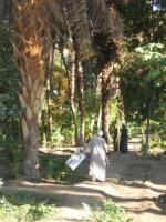 Egypte_1260_Mini