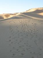 Egypte_1293_Mini 