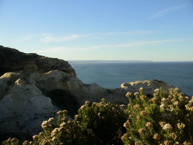 DSC02803 