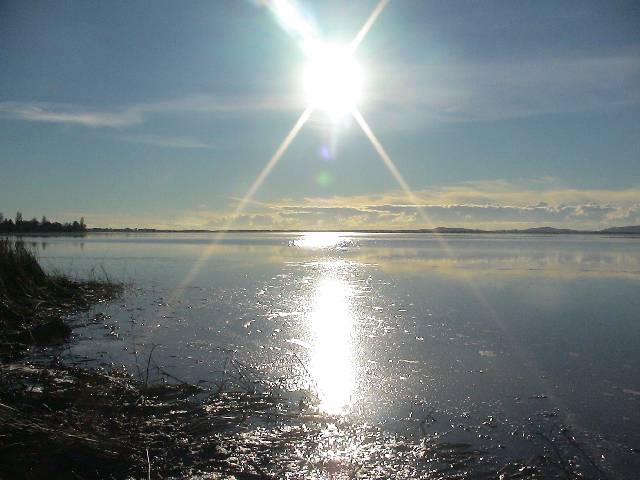 DSC02836 