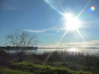 DSC02832
